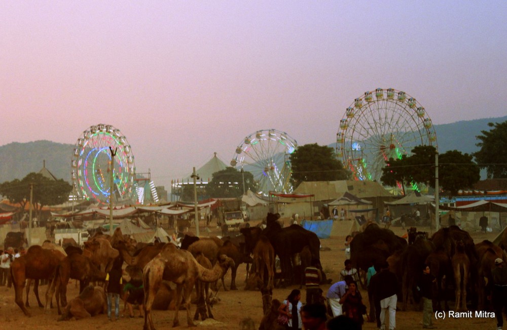 The carnival like atmosphere gets heightened as the sun sets and the big Ferris Wheels light up awaiting the crowds...